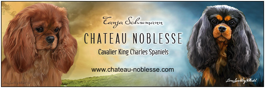 Chateau-Noblesse